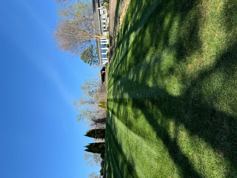 Lawn care work in Hickory, NC by Oasis Property Management
